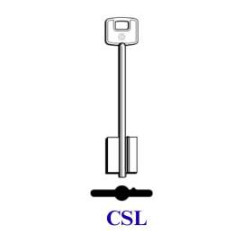 CHIAVE DOPPIA MAPPA ``CSL`` CISA